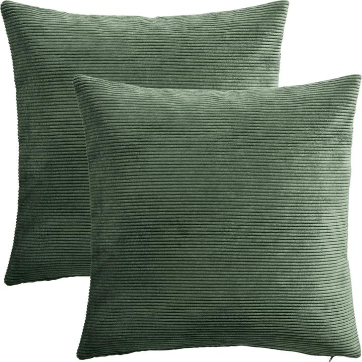 Coussin décoratif
