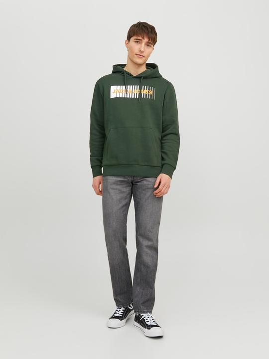 Immagine prodotto Jack & Jones Logo Hoodie (XS)