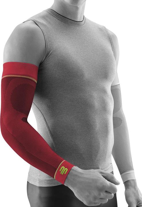 Actual product image Bauerfeind Sc Sleeves Arm (L)
