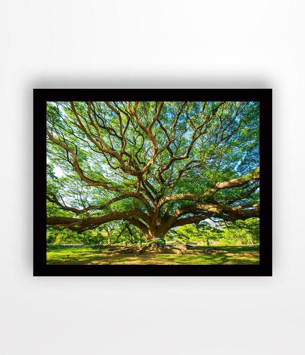 Produktbild Wallxpert Bridget (41 x 56 cm)