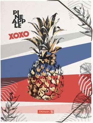 Actual product image Binder Pineapple A3 104705365 multicolor (A3, 1 x)