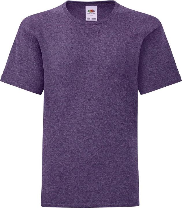 Fruit of the Loom Iconic Heather TShirt