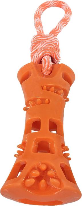 Image du produit Swisspet Denta T-Stick (Apporter)