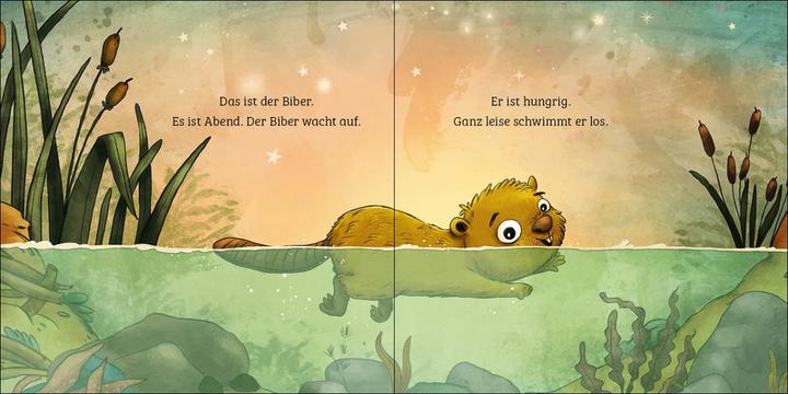Produktbild Loewe Mein erstes Naturbuch - Der Biber (Deutsch)