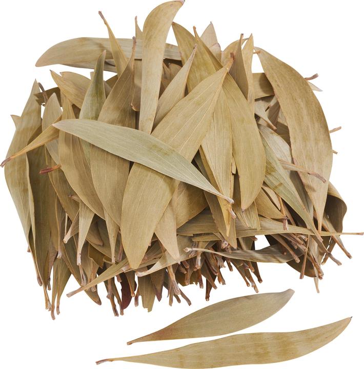 Produktbild Othmar Eukalyptus Blätter, 100 g
