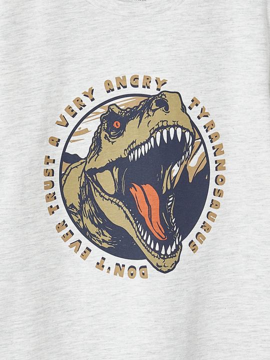 Produktbild Vertbaudet Jungen T-Shirt mit Dino, Recycling-Baumwolle (104)
