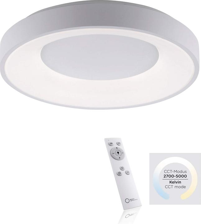 Produktbild Paul Neuhaus Anika (3200 lm)