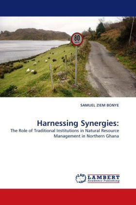 Produktbild Harnessing Synergies: (Samuel Ziem Bonye, 2011)