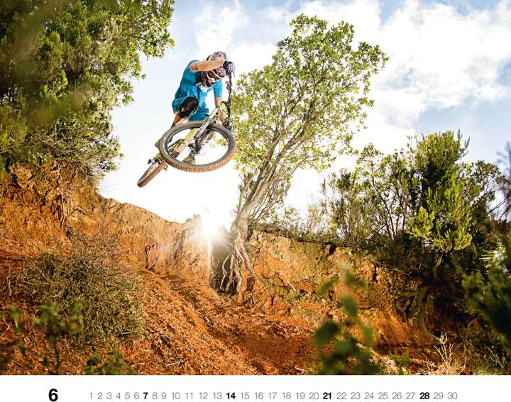 Actual product image Freeride 2026 (German)