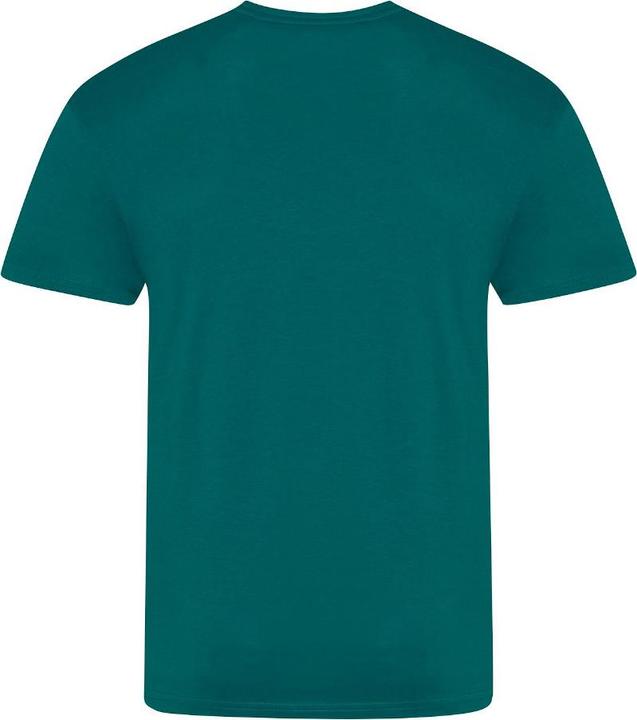 Actual product image Awdis The 100 Tshirt (XL)