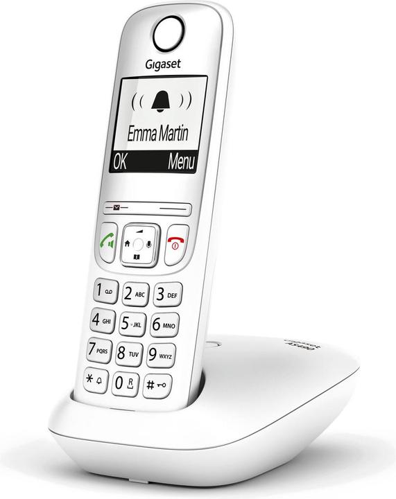 Image du produit Gigaset AS490