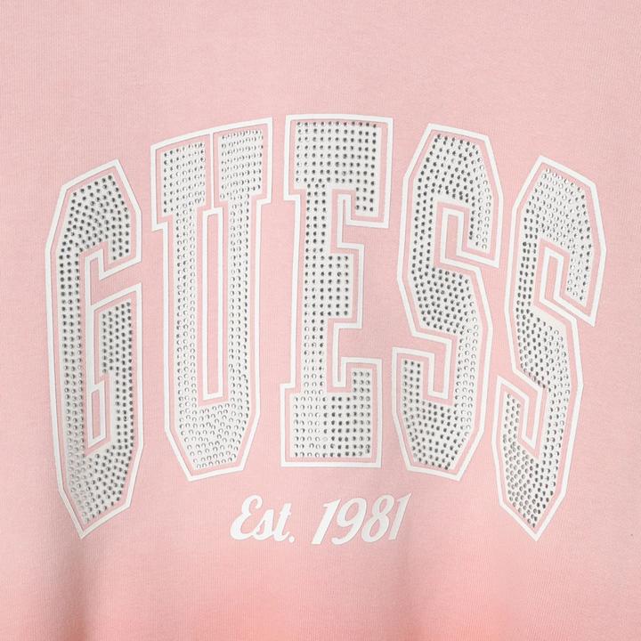 Immagine prodotto Guess Pullover Damen (M)
