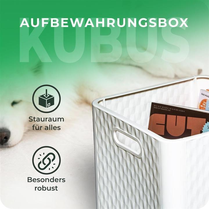 Immagine prodotto Novaliv 4 Stück Kunststoff Boxen für Kallax Regal Anthrazit & Weiss Aufbewahrungsbox 30x30x30 cm Falt (30 x 30 x 30 cm, 25 l)
