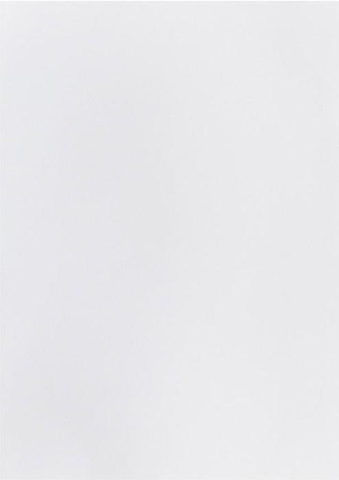 Folia Tonpapier (130 g/m², 100 x)