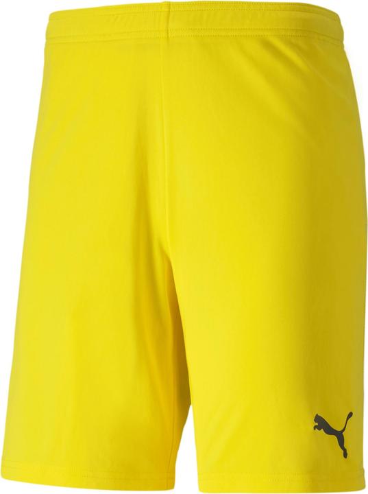 Puma teamGOAL 23 knit Shorts-704262 (S)