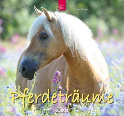 Produktbild Pferdeträume 800361885 DE, 33x31cm, 2020