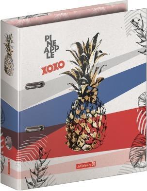 Image du produit Classeur Pineapple A4 102042965 multicolore