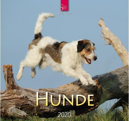 Image du produit Chiens 800361601 FR, 33x31cm, 2020