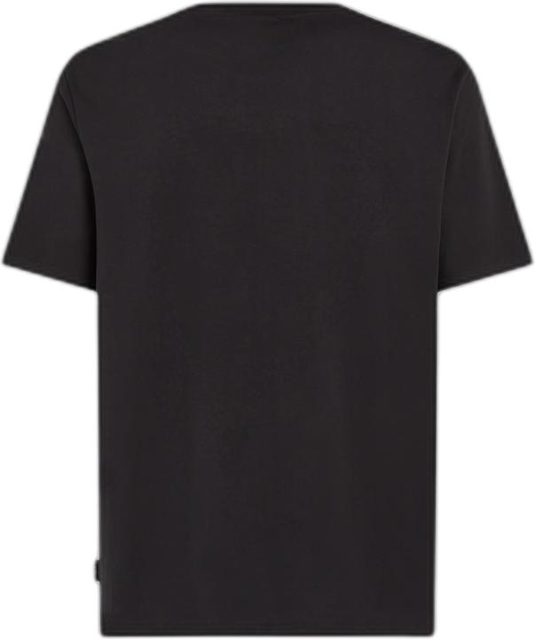O'Neill t-shirt sall chest print (M)