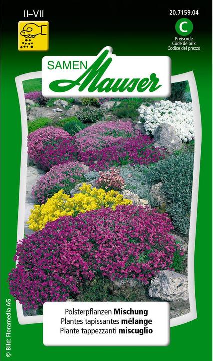 Actual product image Samen Mauser Upholstery plants mixture (Plant seeds)