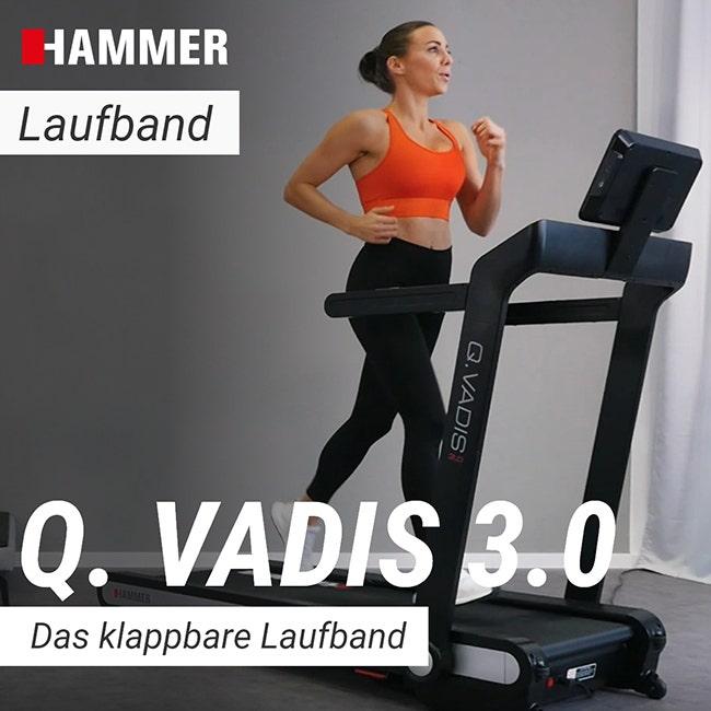 Actual product image Hammer Fitness Q. VADIS 3.0