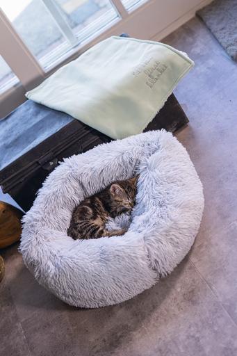 Produktbild Beeztees Vako (Katze)