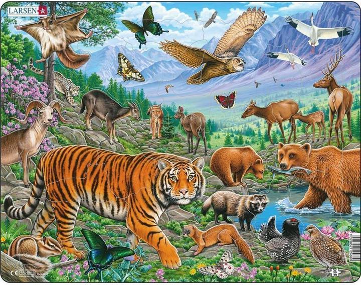 Actual product image Larsen The Amur tiger in the Siberian summer (36 pieces)