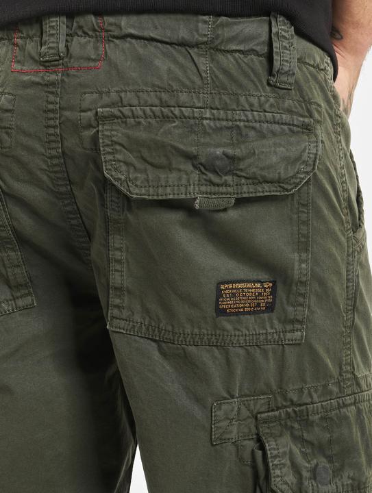 Actual product image Alpha Industries Jet Shorts - 81739 (Frequency band 38 (2600 MHz))