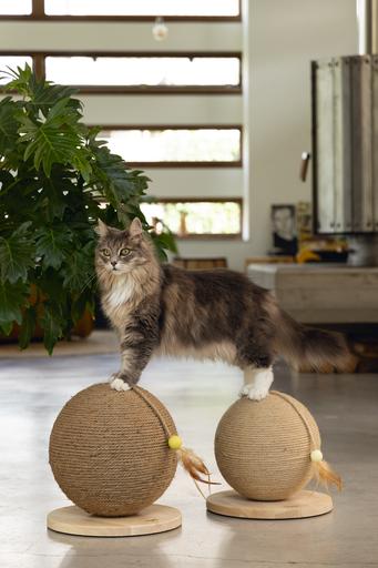 Actual product image Designed by Lotte Balty (27 cm, Brown)