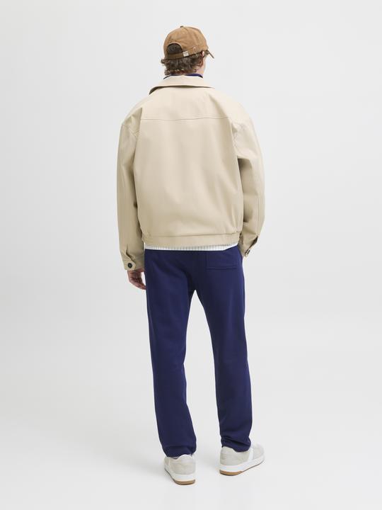 Produktbild Jack & Jones Relaxed Fit Relaxed Fit Hosen Relaxed Fit Hosen (XL)