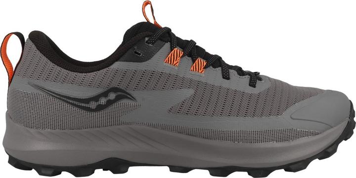Saucony Peregrine 13 Gtx (47)