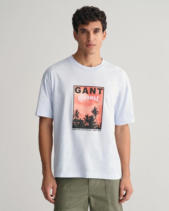 Actual product image GANT t-shirt washed graphic (L)
