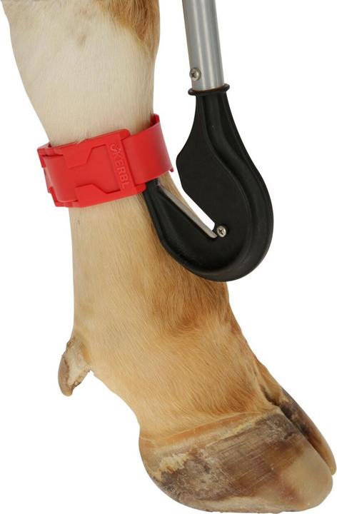 Immagine prodotto Kerbl Coltello per bendaggi con lama intercambiabile