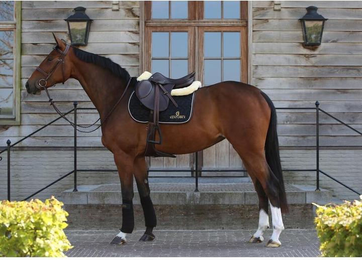 Produktbild Kentucky Horsewear Springschabracke für Pferde