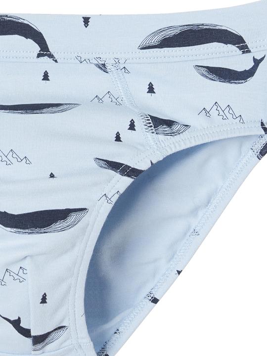 Immagine prodotto Vertbaudet Confezione da 7 slip da ragazzo in cotone biologico, balene (152, Confezione da 7)