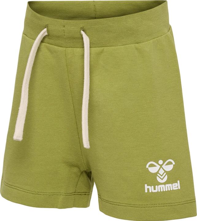 Actual product image hummel Hmldream Shorts (62)