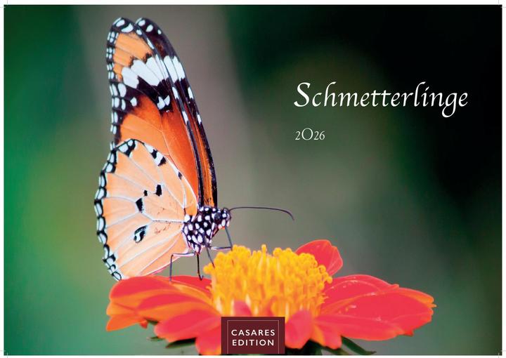 Produktbild Schmetterlinge 2026 L 35x50cm (35 x 50 cm, Deutsch)