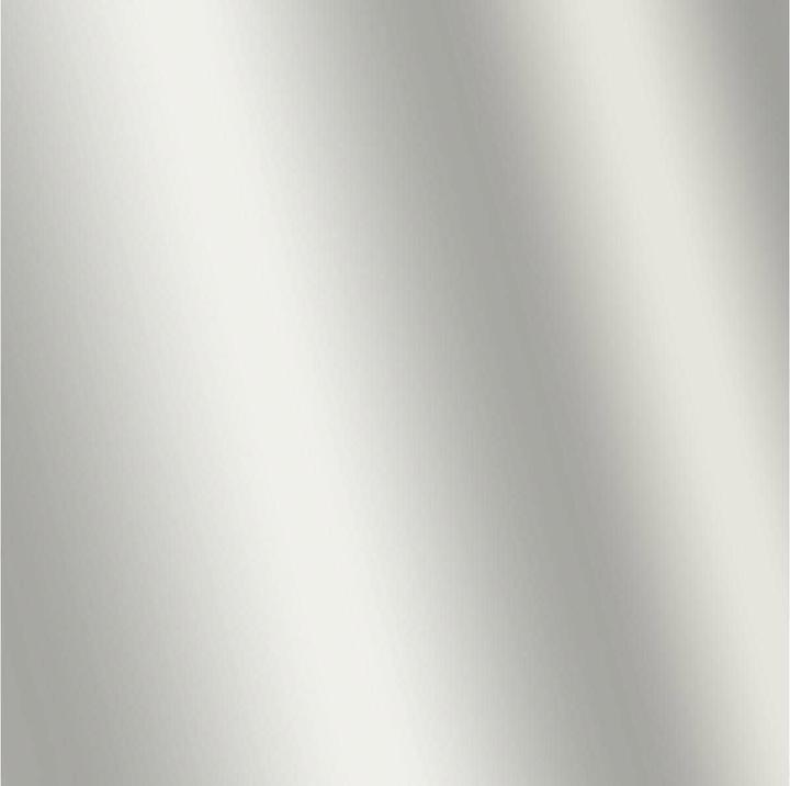 Immagine prodotto Amsterdam Acrilico (Argento, 120 ml)