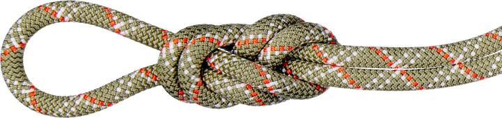 Mammut 9.5 Gym Classic Rope 50m (50 m)