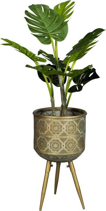 Produktbild Dutchbone Botanique (28.50 cm)