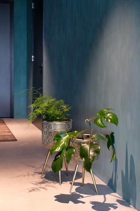 Produktbild Dutchbone Botanique (28.50 cm)