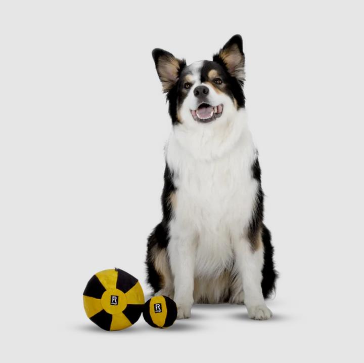 Produktbild Redoggo Ball Aktivspielzeug Gross (Ballspielzeug Hund)