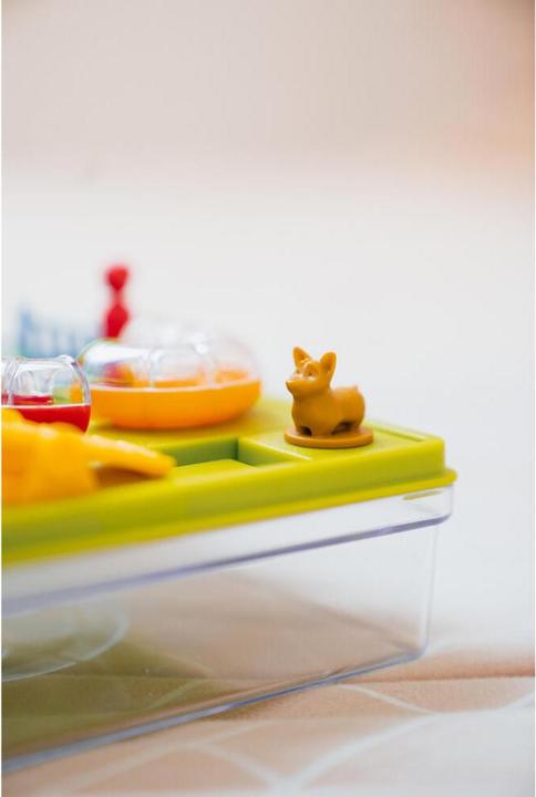 Actual product image Smart Games Paws course (German)