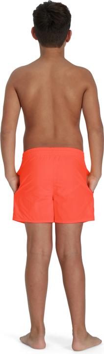 Actual product image Speedo Essential 13" Watershort (L)