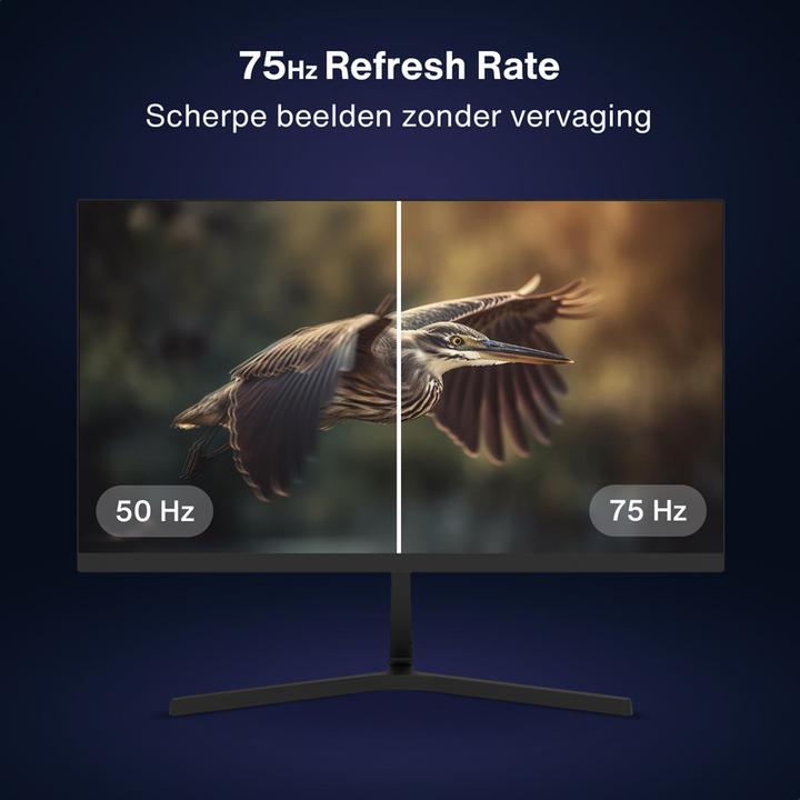 Actual product image Dahua LM24-B201S - Full HD IPS Monitor - 75 Hz - 24 inch (1920 x 1080 pixels, 23.80")