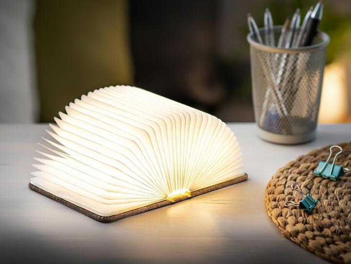 Immagine prodotto Gingko Mini luce intelligente del libro