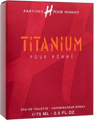 Actual product image H Pour Homme Titanium Edt Spray (Eau de toilette, 75 ml)