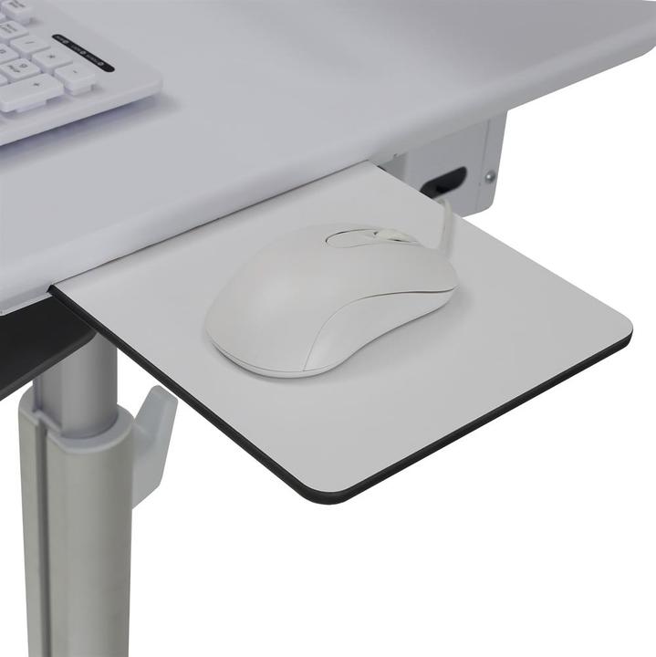 Actual product image Ergotron StyleView Lean WOW Cart SV10, for Displays up to 24 inch