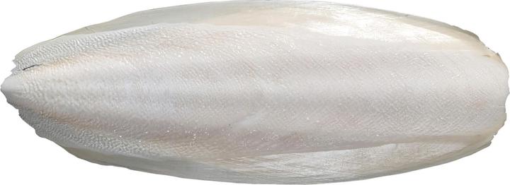 Produktbild Exo Terra Sepia Bones Sepiaschale (2 x, 0.11 kg)
