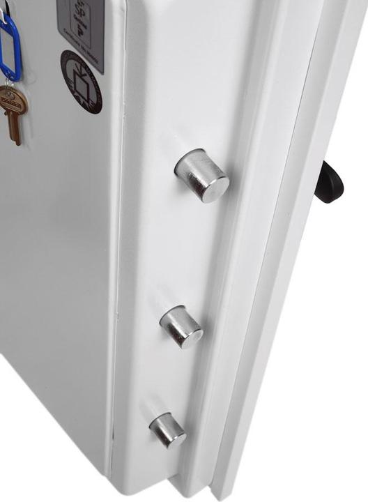Image du produit Phoenix Combattant du feu (84 l)